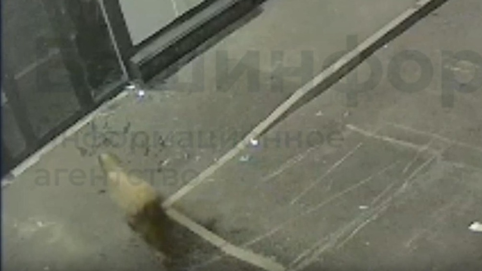 ИА Башинформ