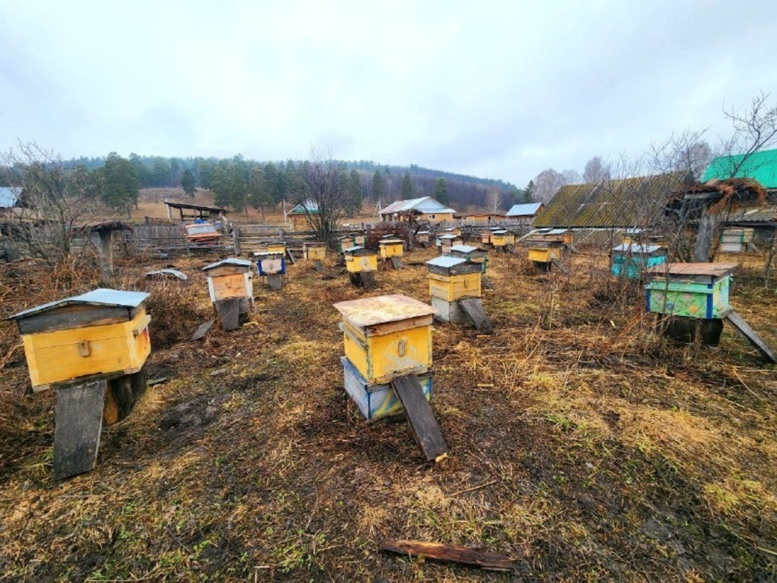 ИА Башинформ