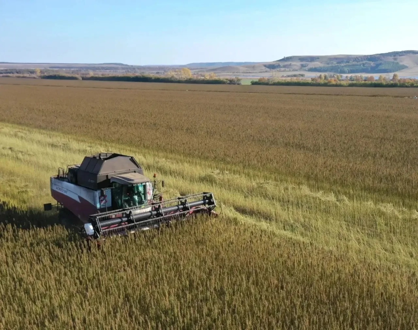 ИА Башинформ