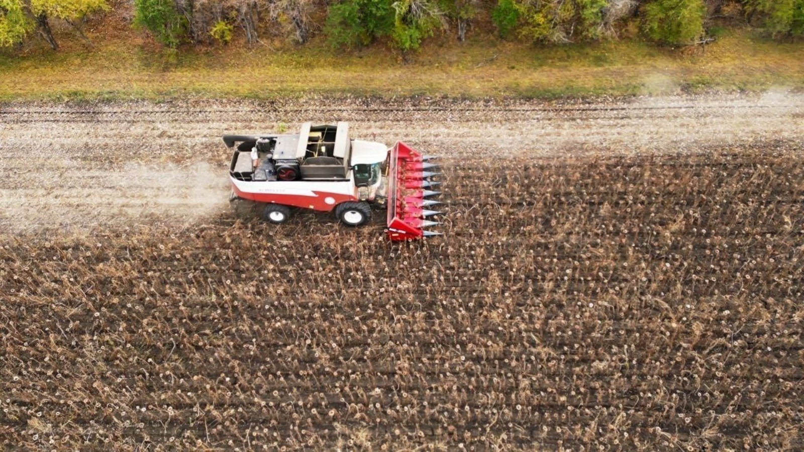 ИА Башинформ