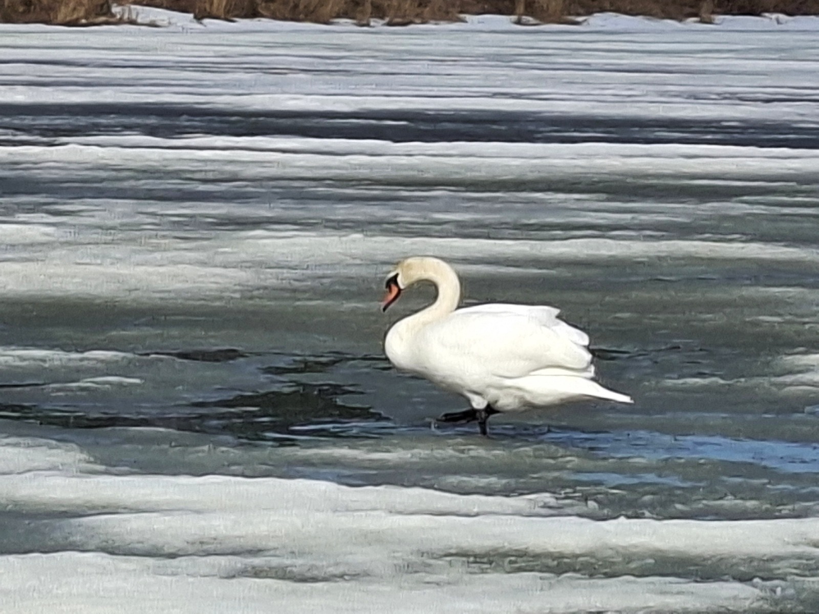 ИА Башинформ