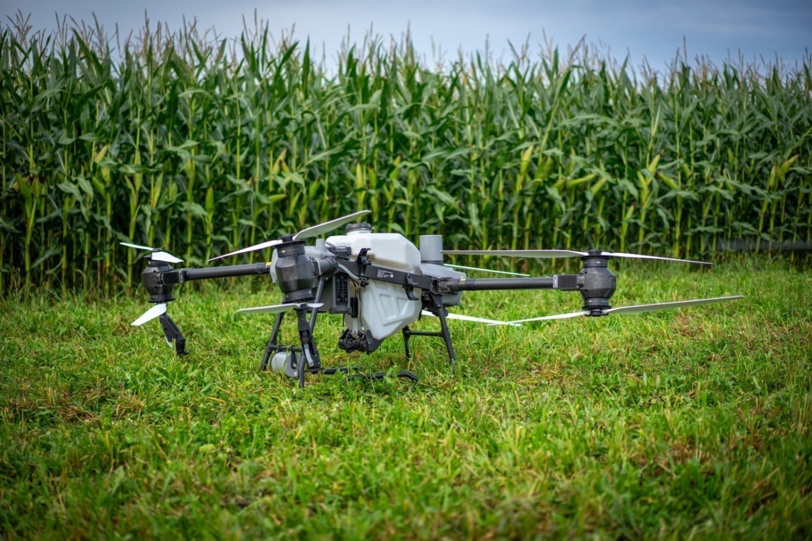 ИА Башинформ