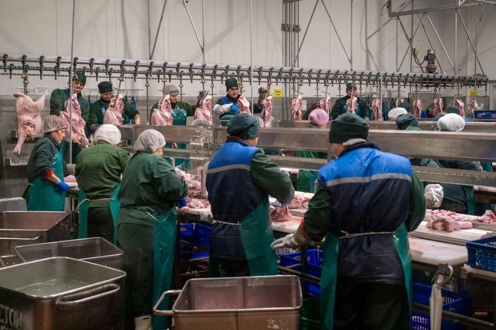 Башкирская индейка «полетела» в Азербайджан