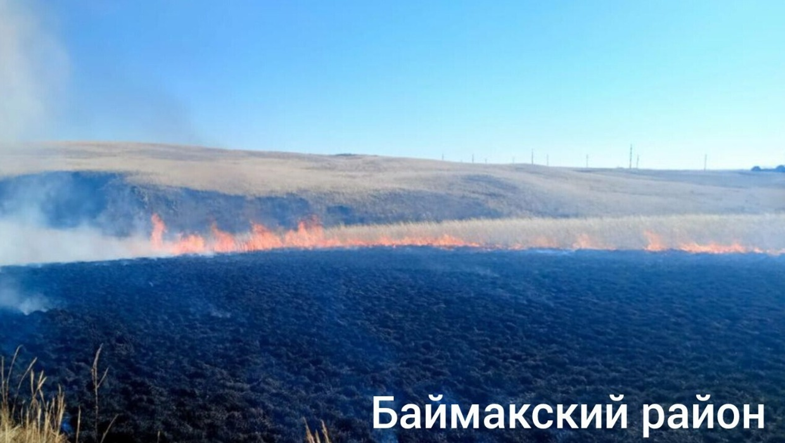 ИА Башинформ