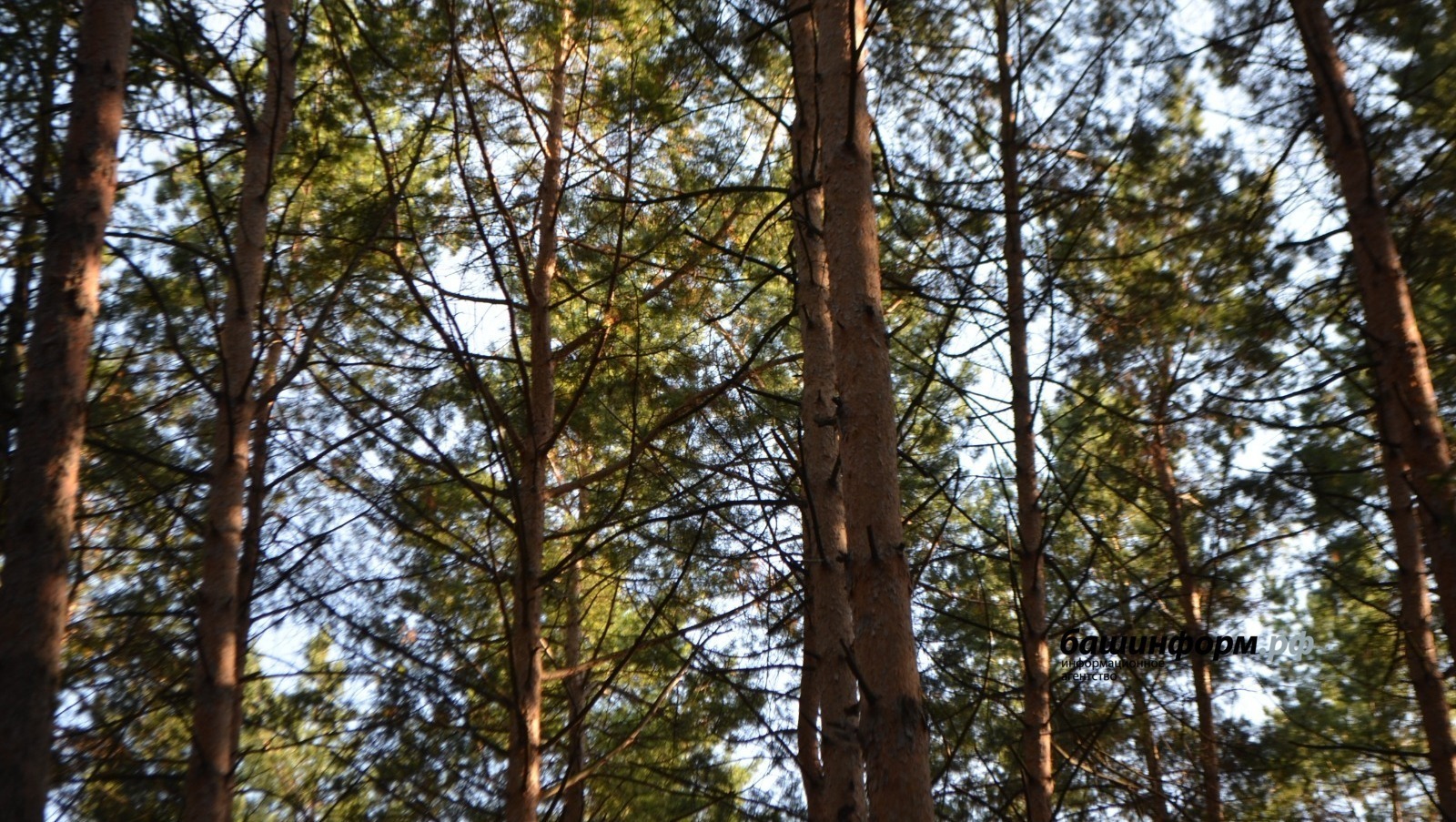 Фото: ИА Башинформ