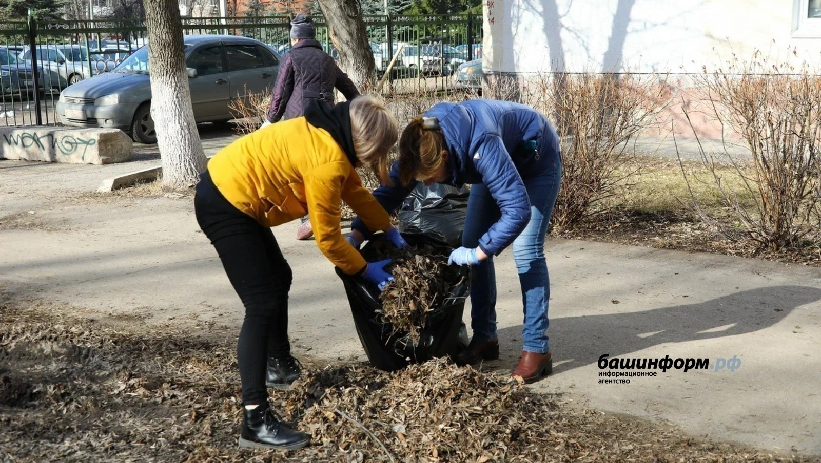 ИА Башинформ