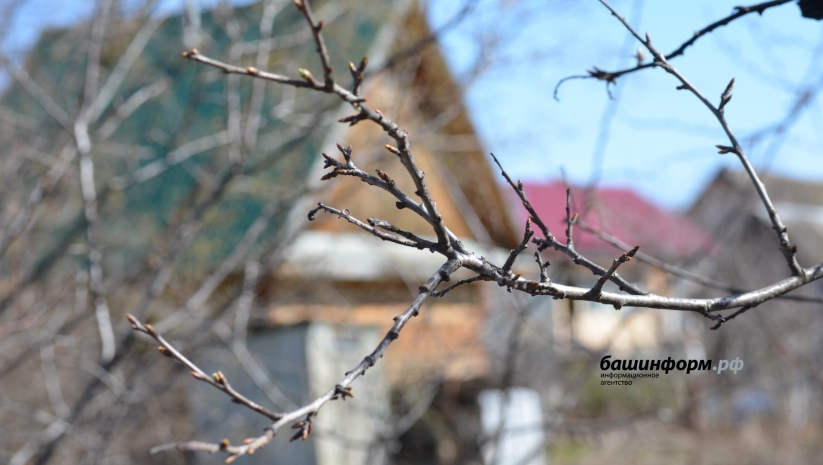 ИА Башинформ