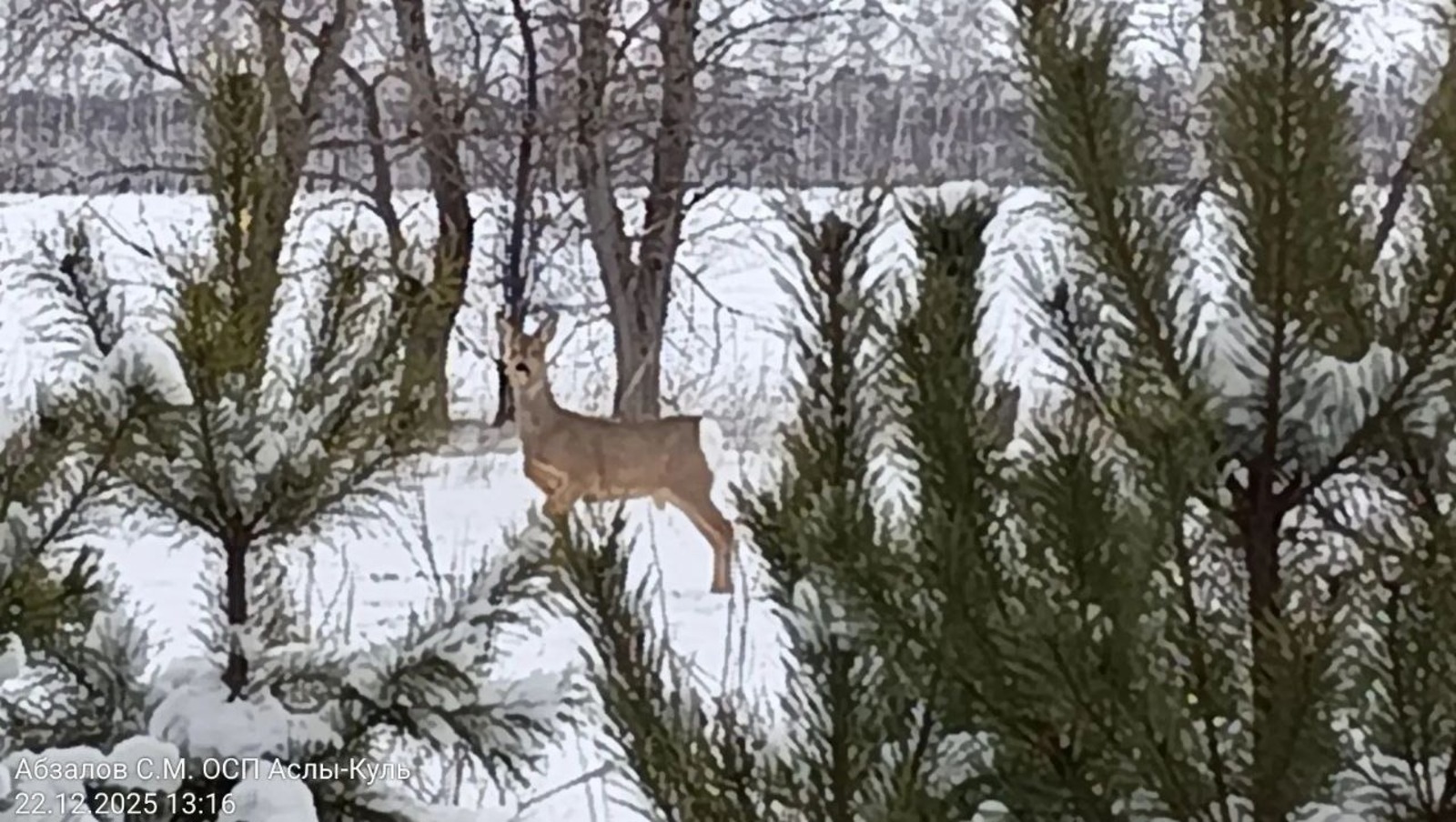 ИА Башинформ