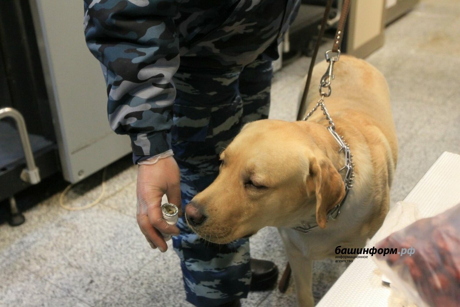 ИА Башинформ