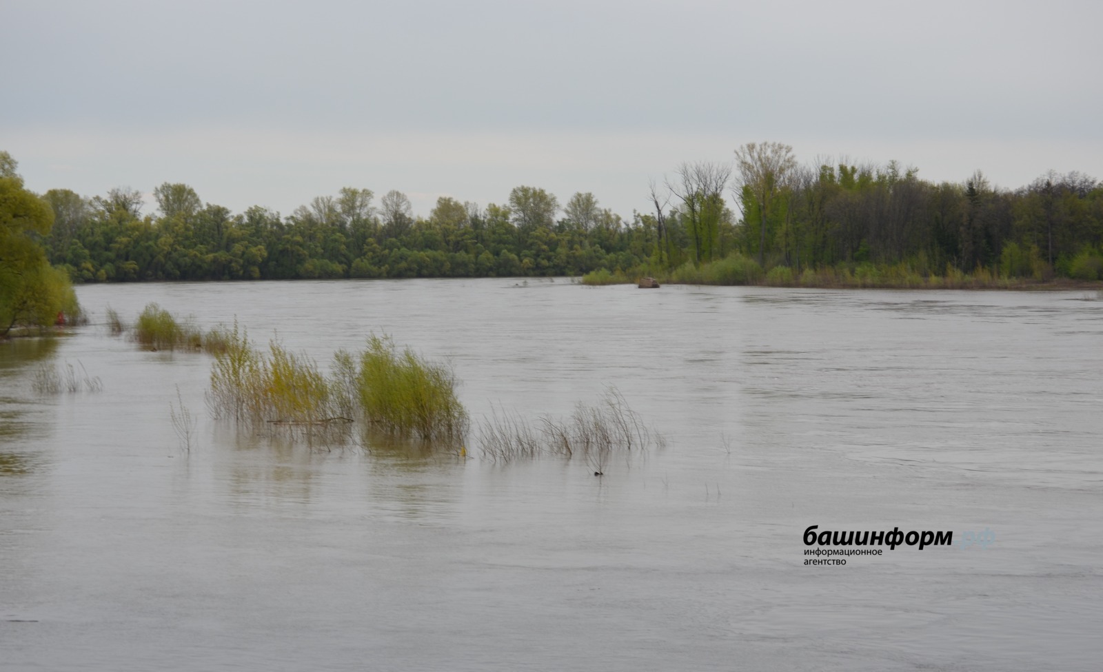 В Уфе нашли останки предположительно подростка, пропавшего год назад