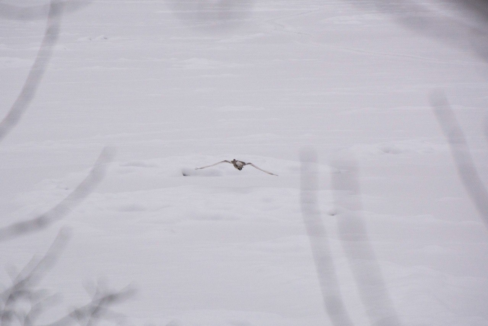 ИА Башинформ