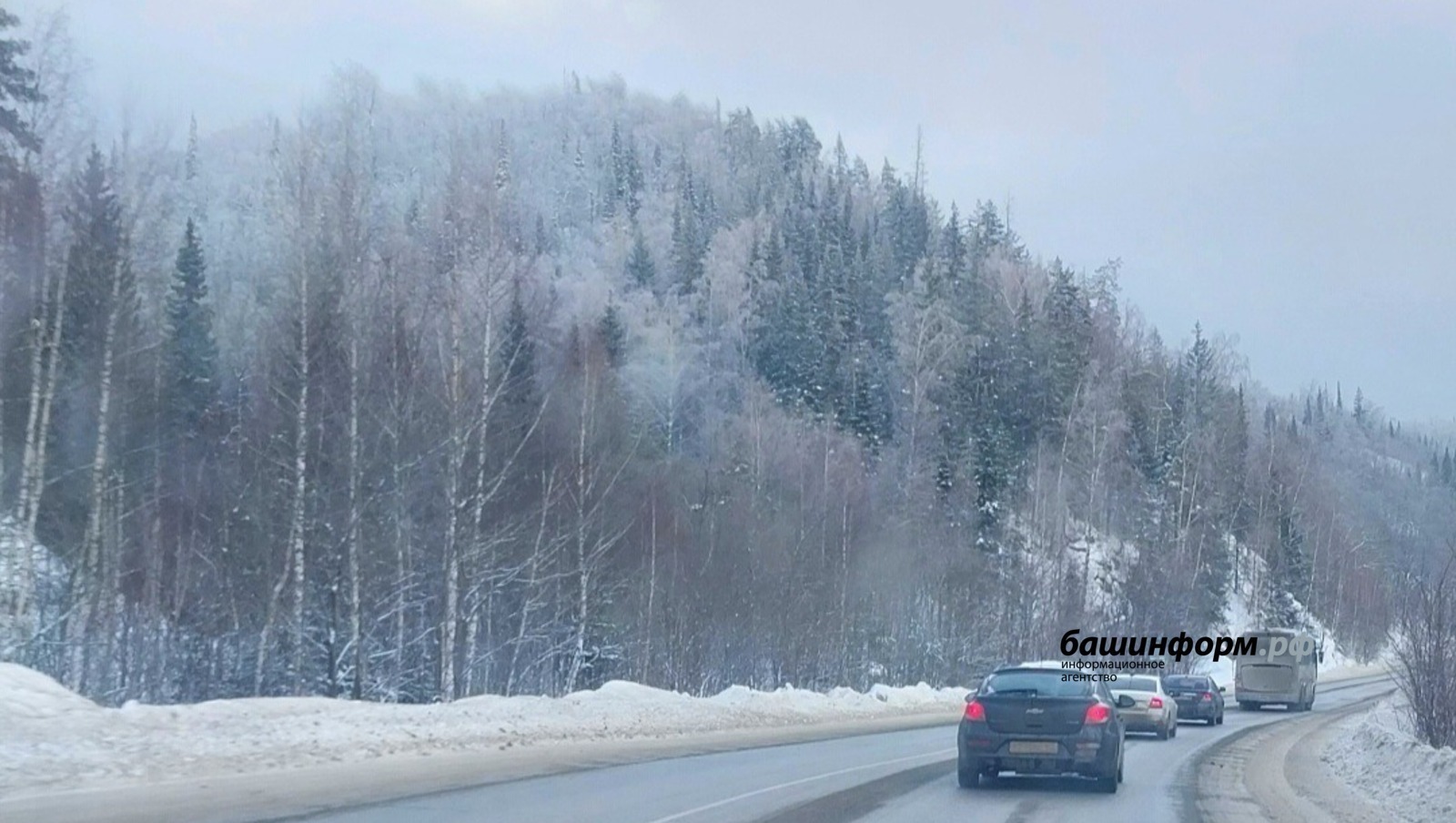 ИА Башинформ