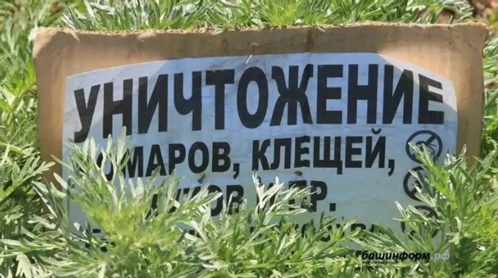 ИА Башинформ