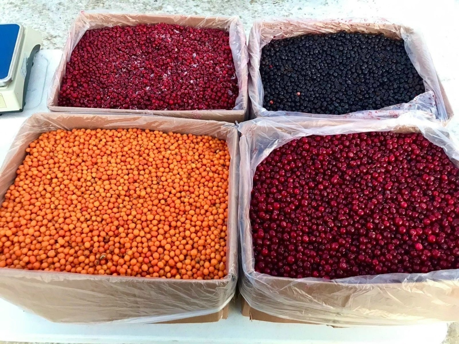 ИА Башинформ