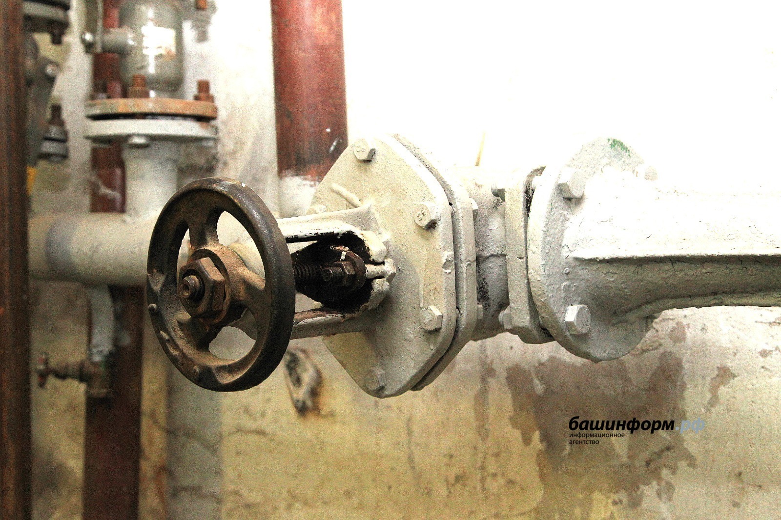 ИА Башинформ