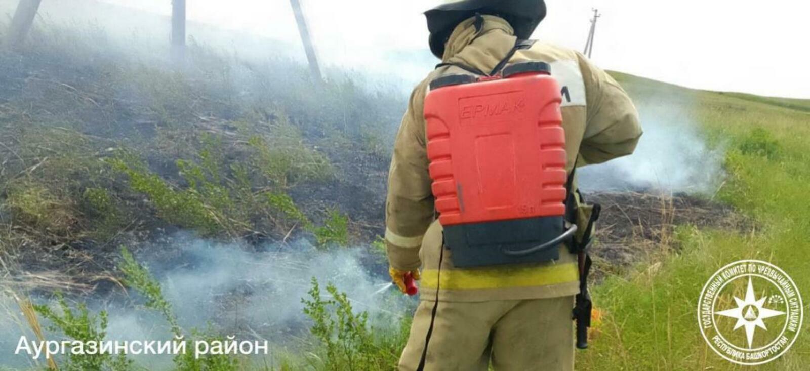 В Башкирии с начала года зарегистрировано 10 очагов лесных пожаров