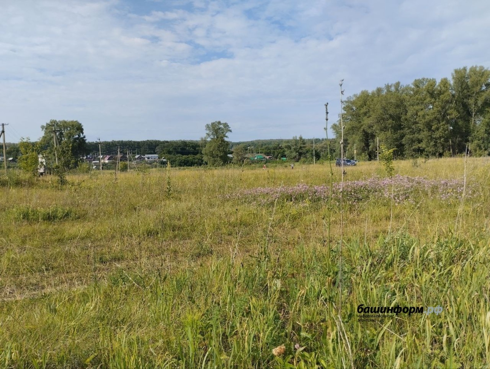 ИА Башинформ