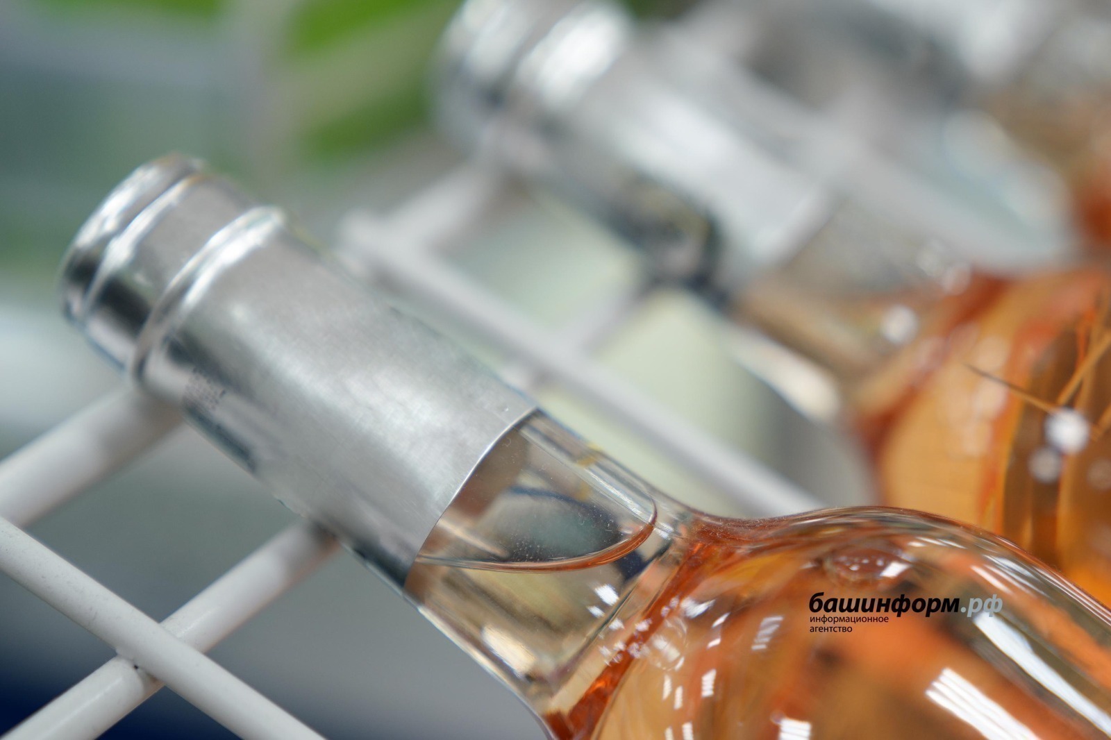 ИА Башинформ