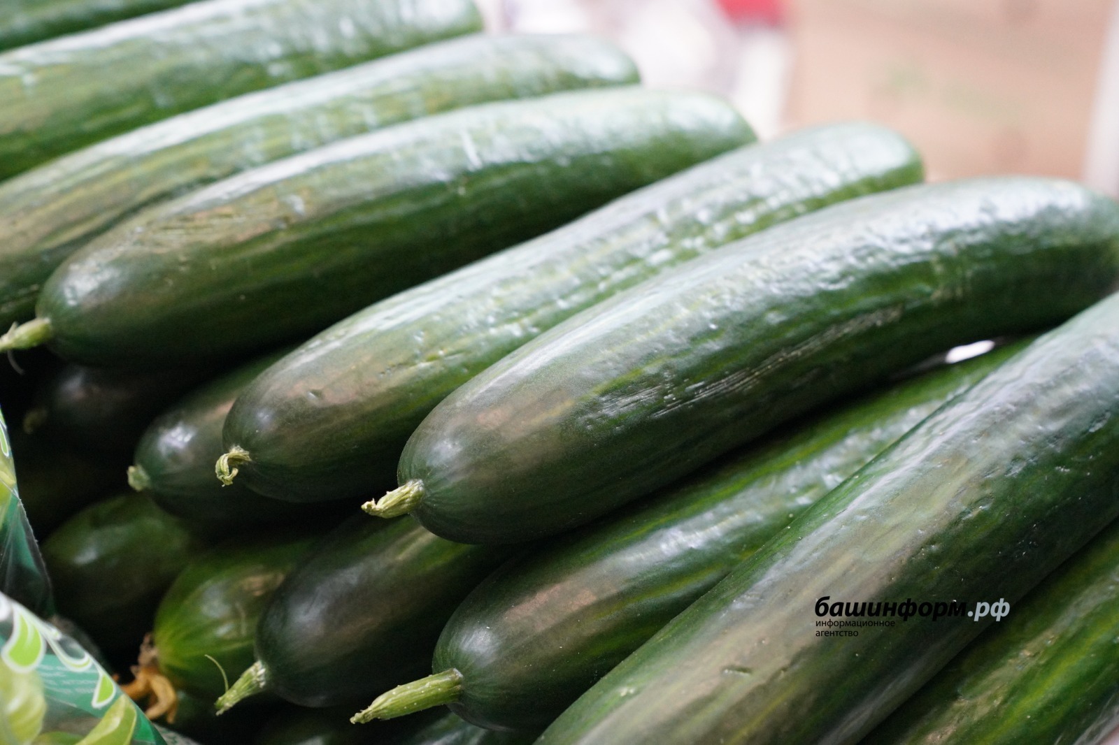 ИА Башинформ