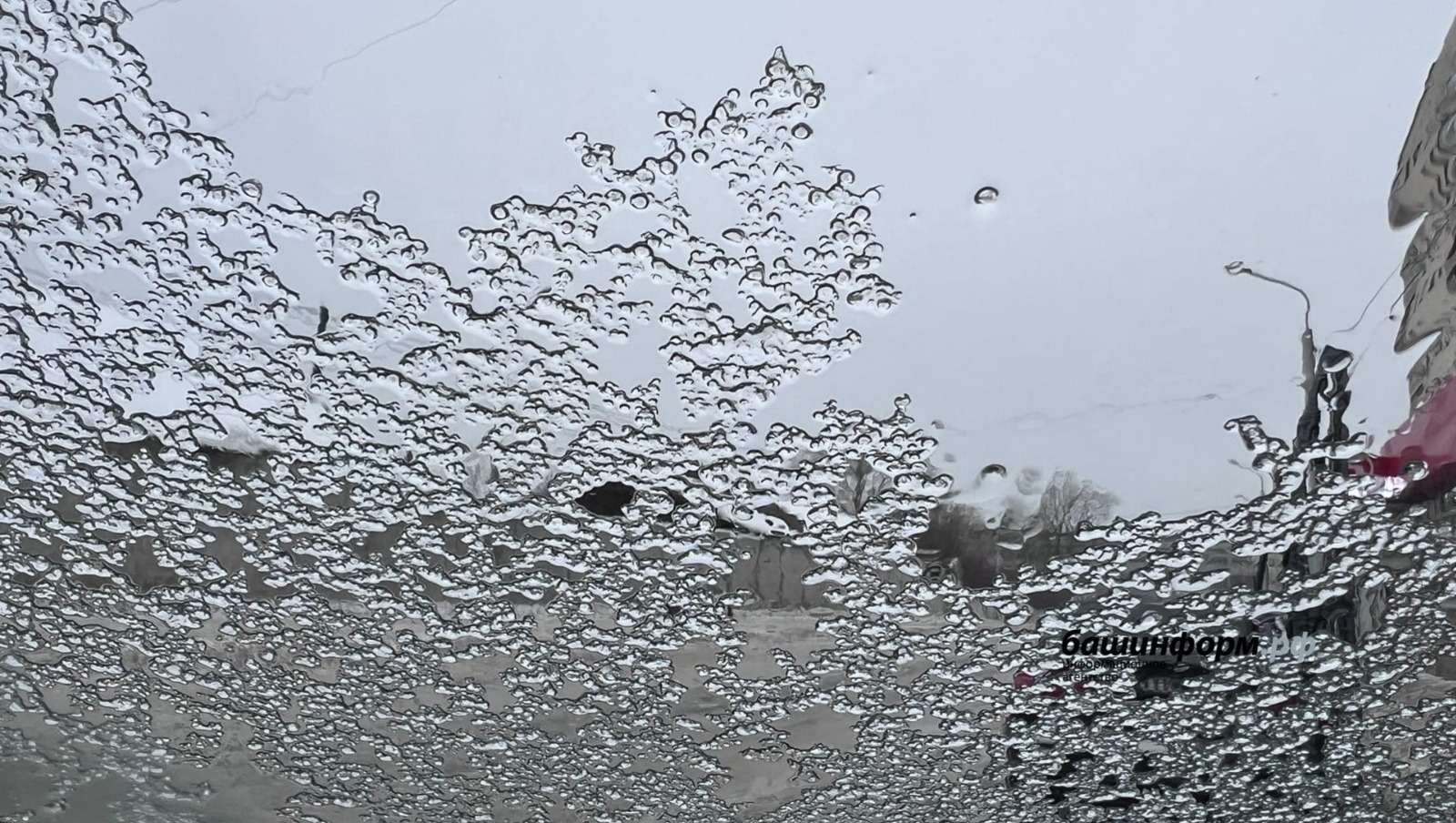 ИА Башинформ