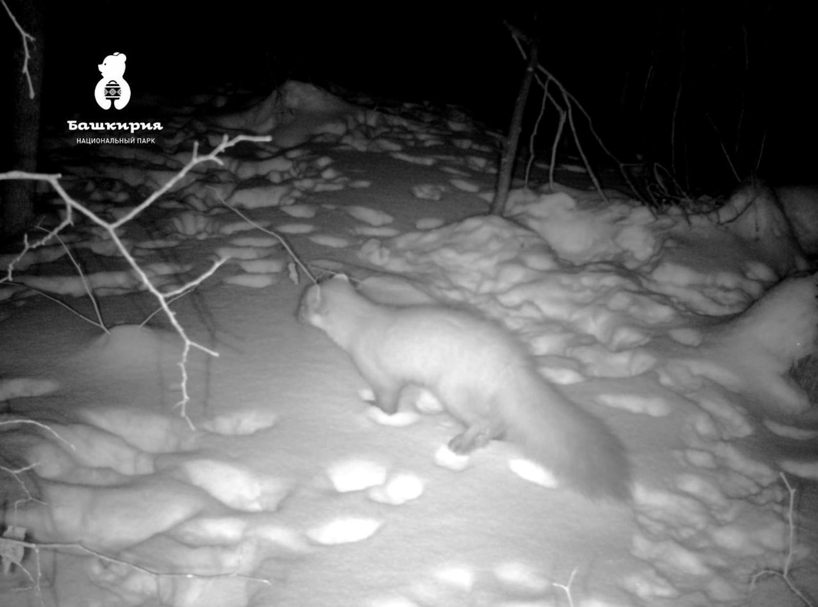 ИА Башинформ