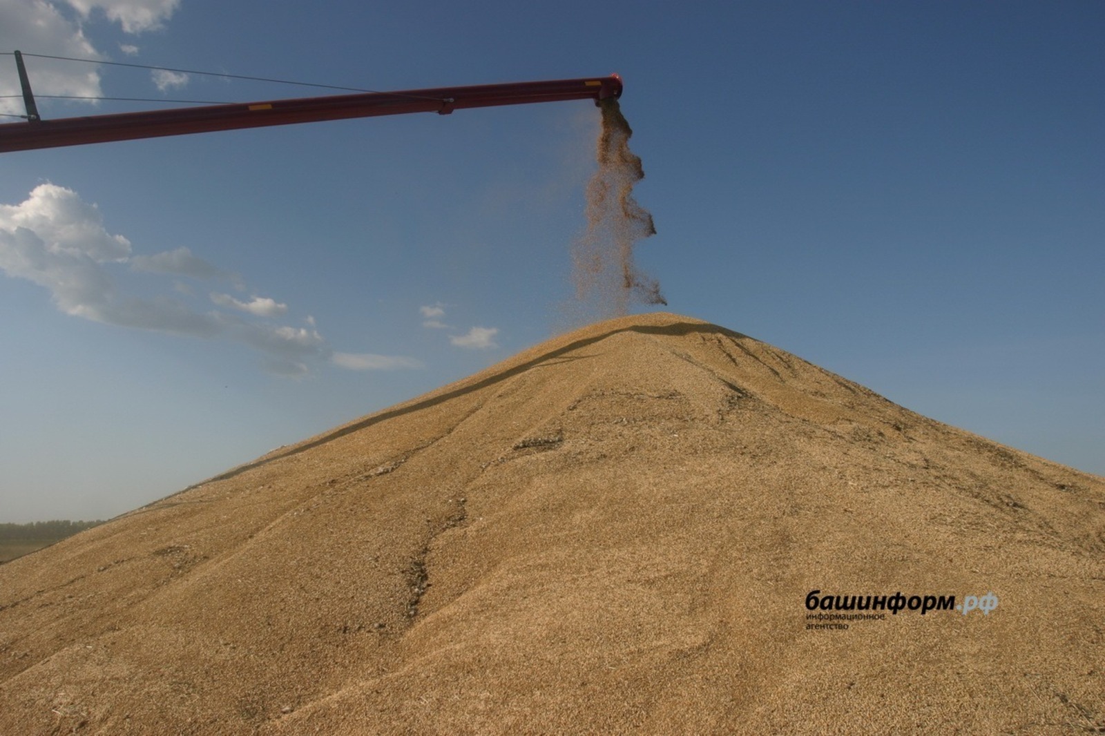 ИА Башинформ