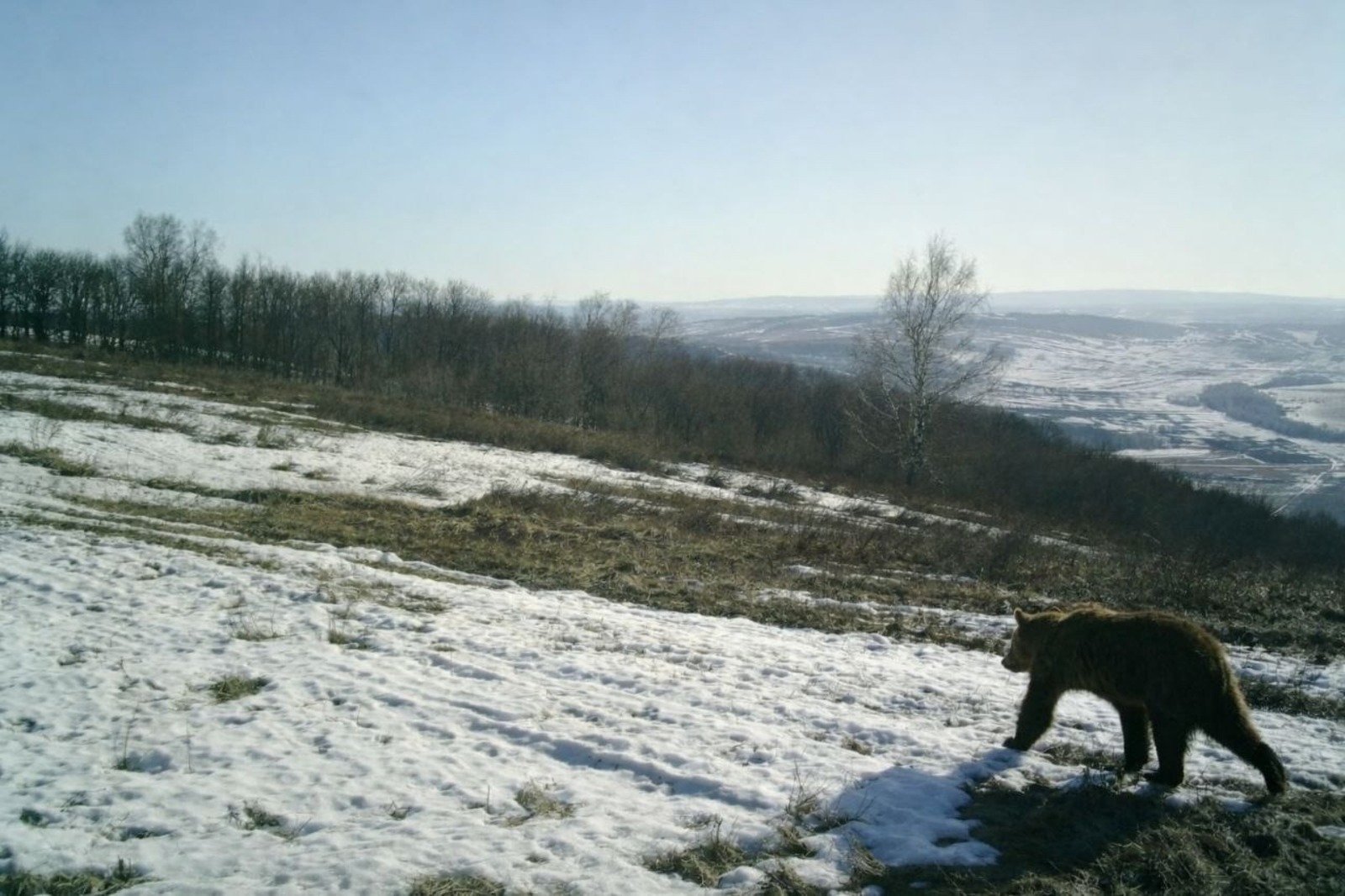 ИА Башинформ