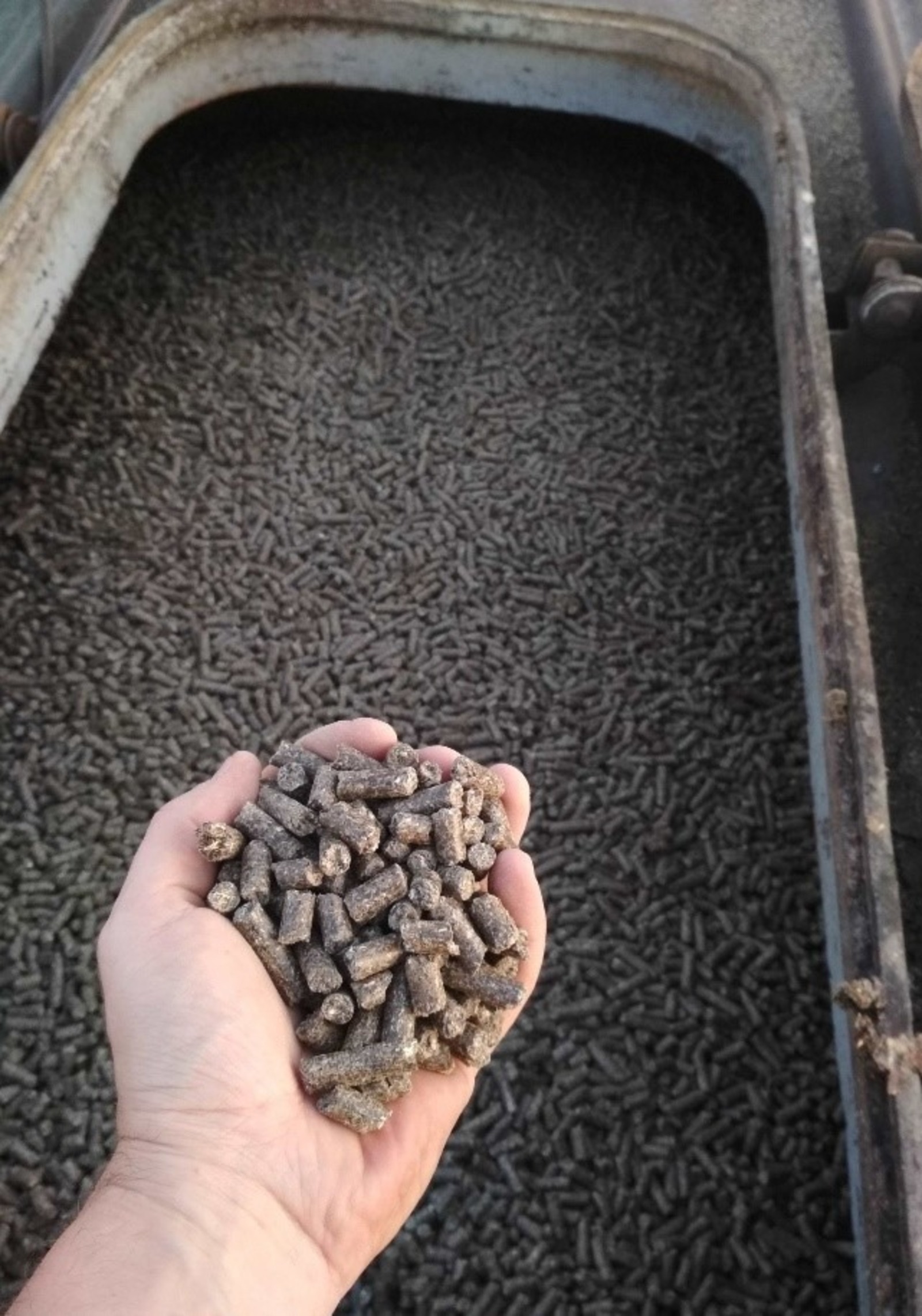 Башкирия экспортировала в Туркменистан пробную партию подсолнечного шрота