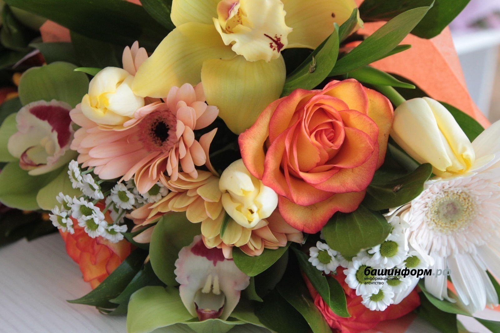 ИА Башинформ