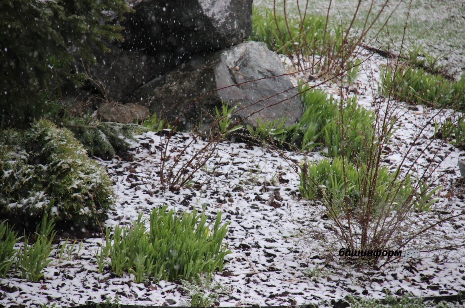 ИА Башинформ