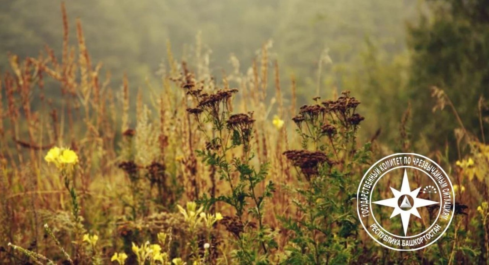 ИА Башинформ