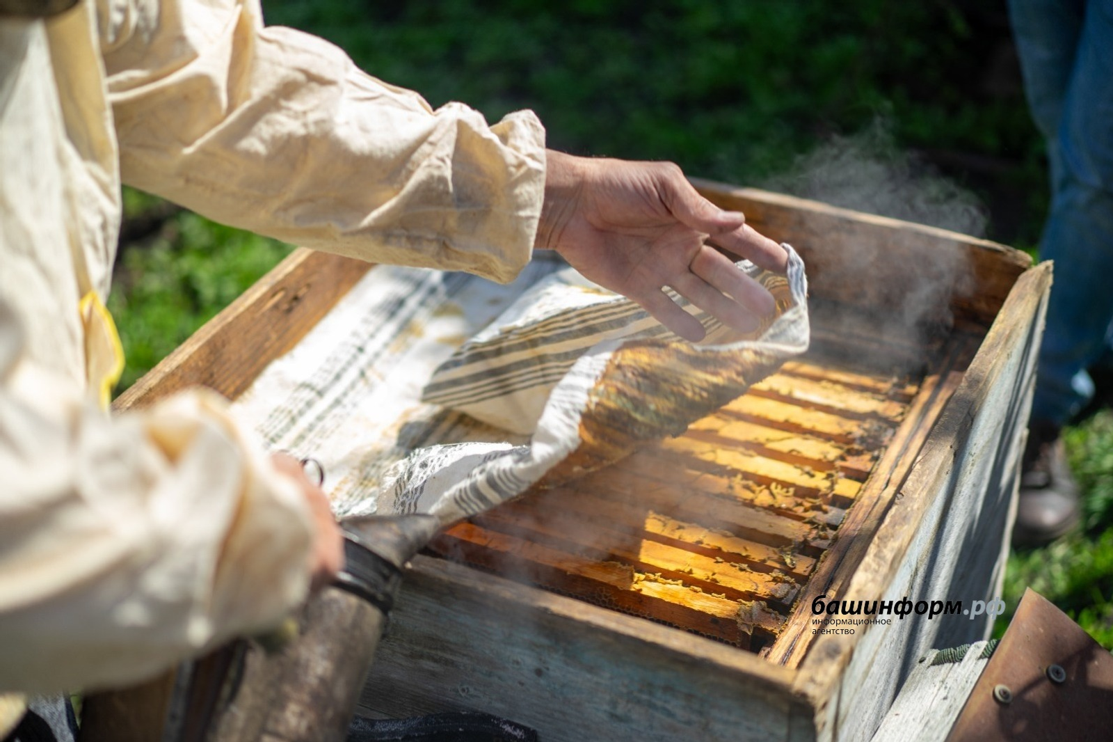 ИА Башинформ