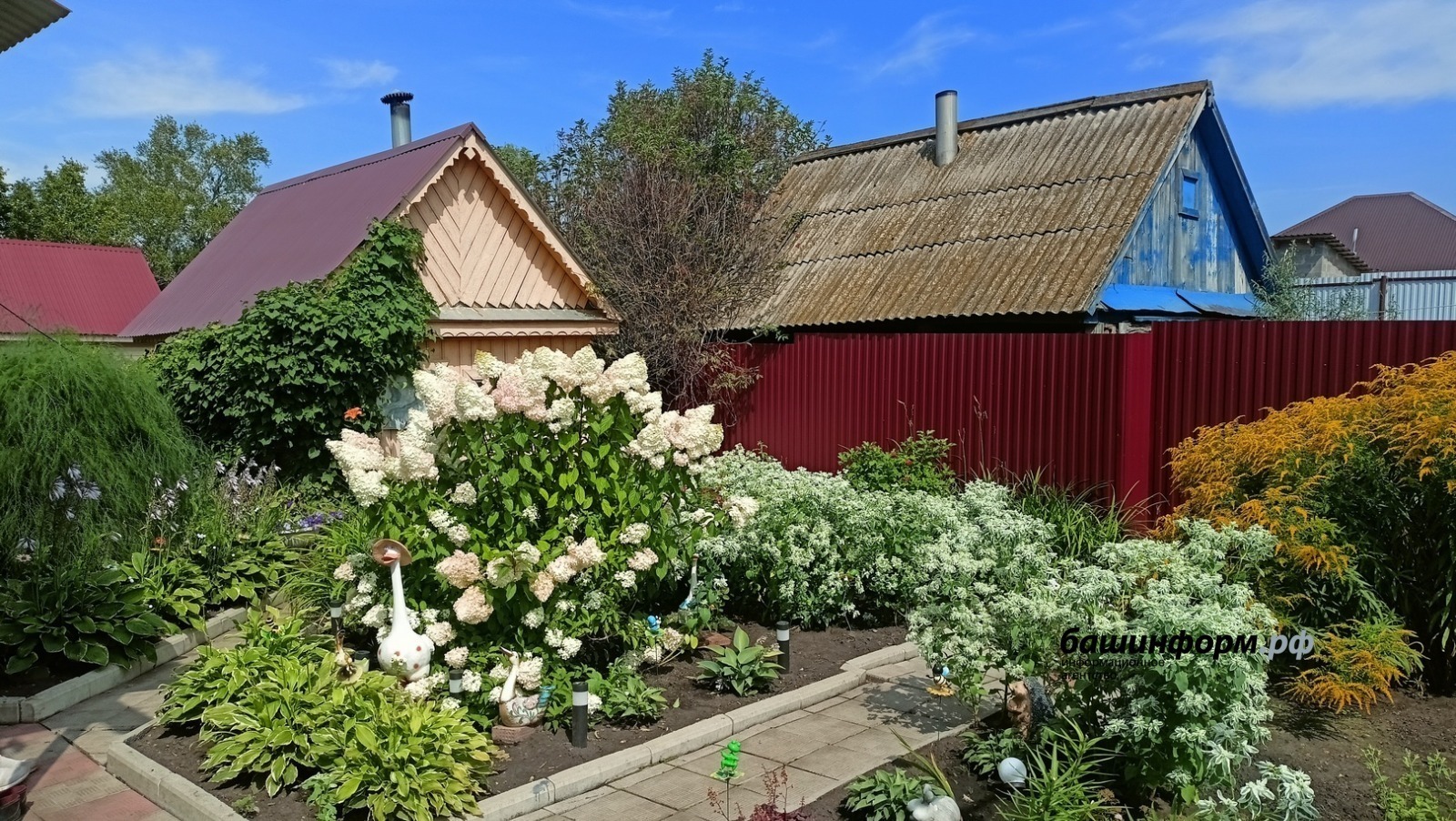 ИА Башинформ