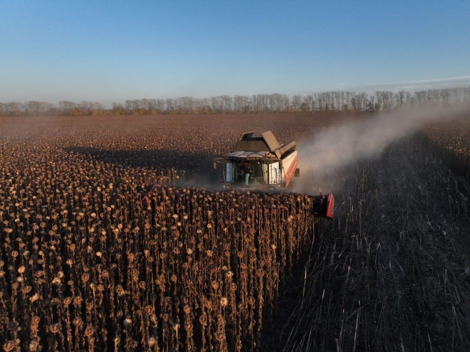 ИА Башинформ