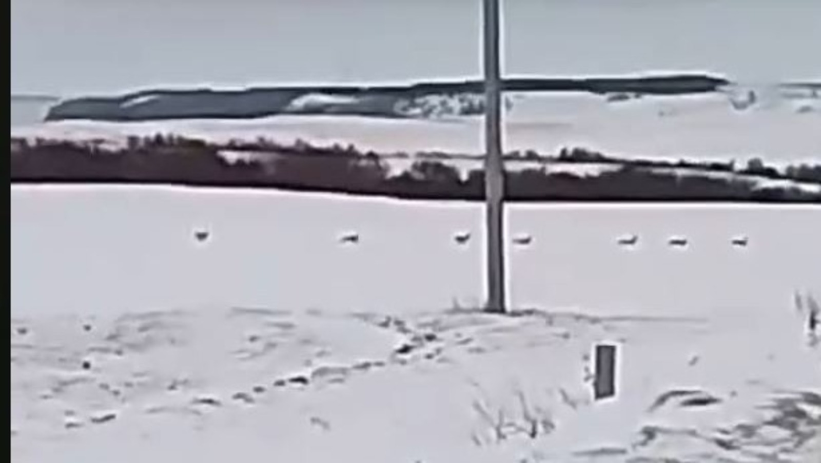 ИА Башинформ