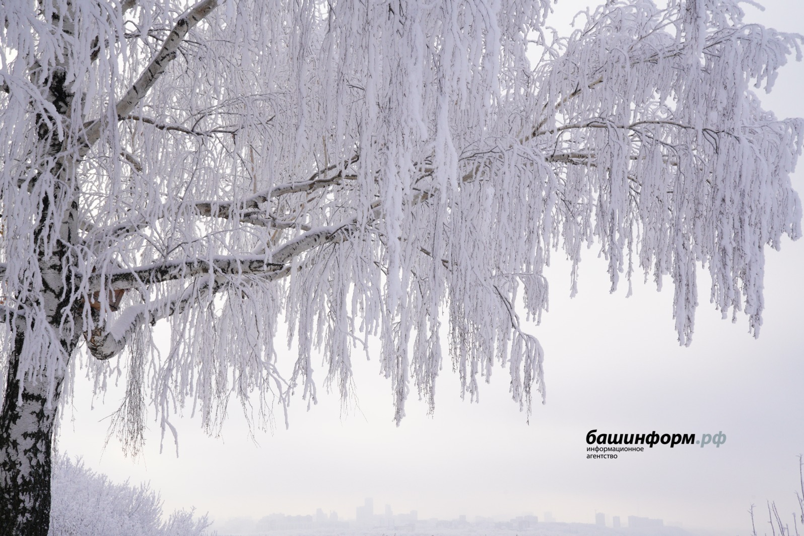 ИА Башинформ