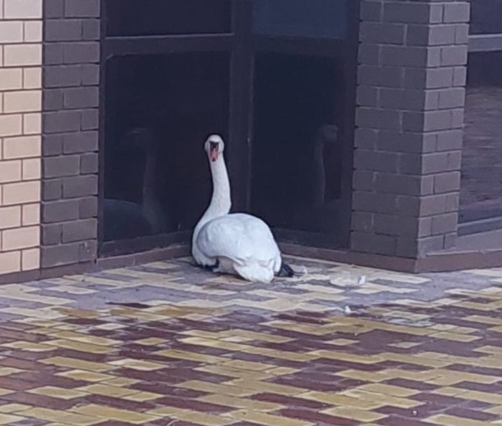 ИА Башинформ