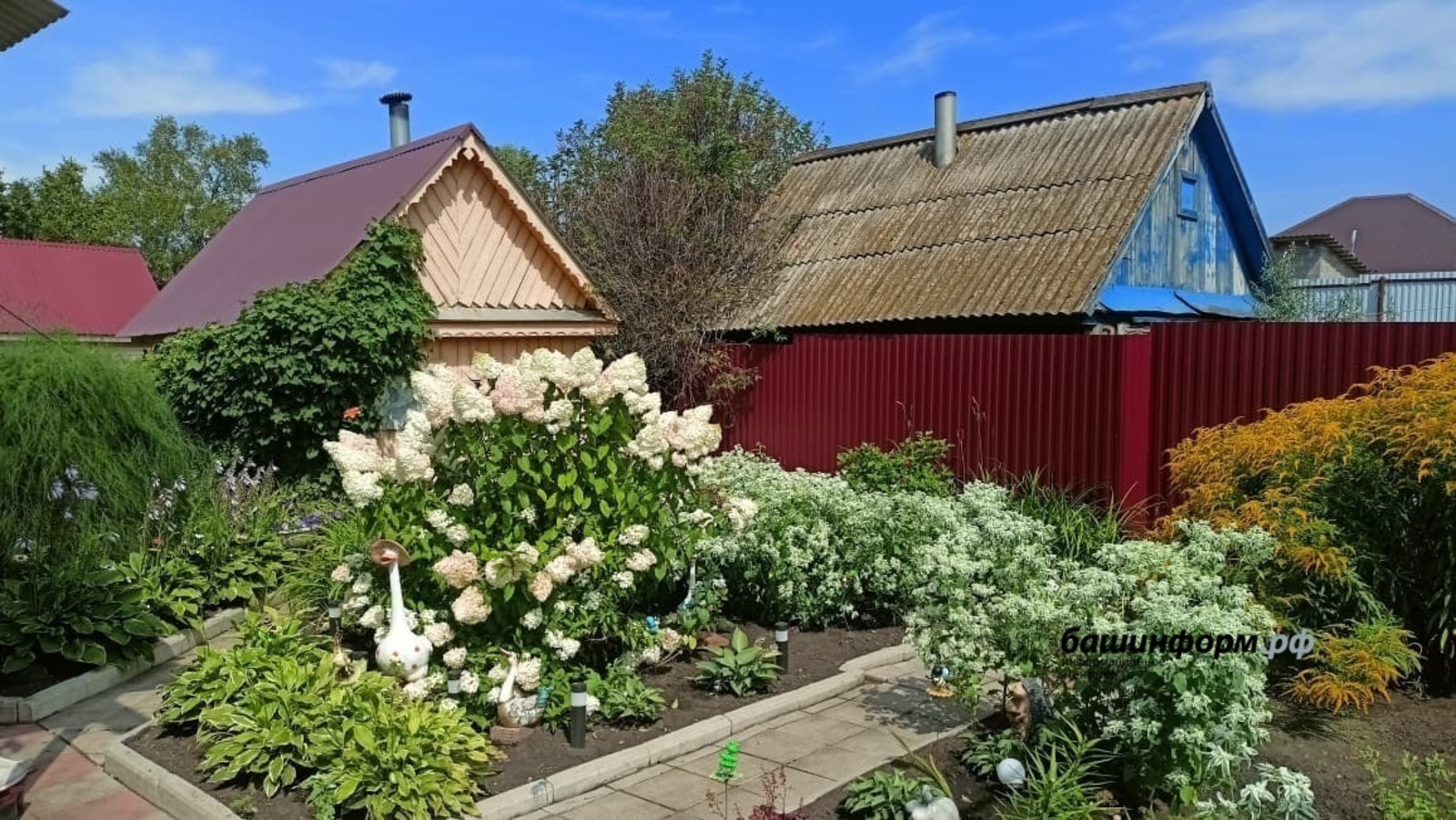 ИА Башинформ