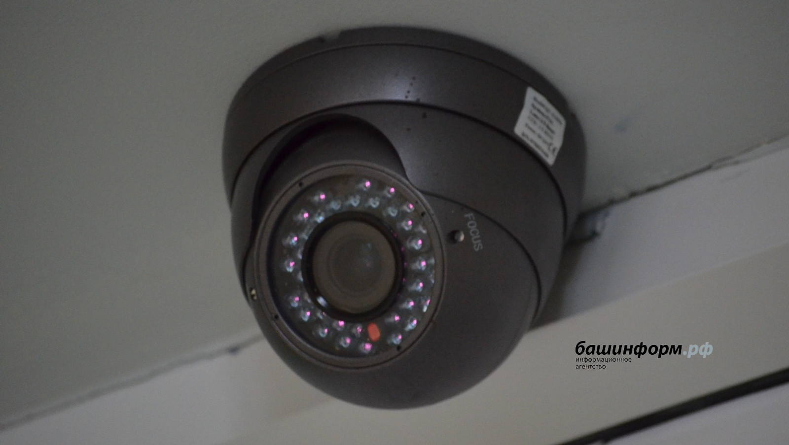 ИА Башинформ