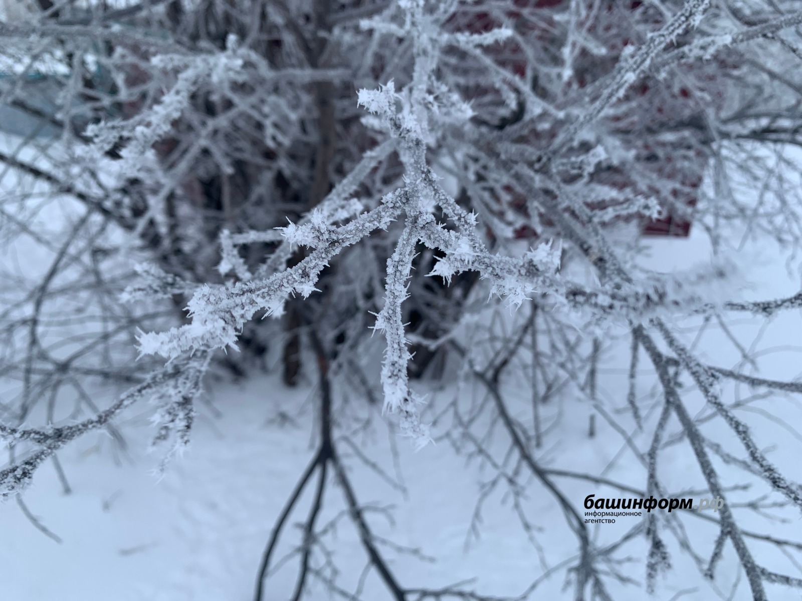 ИА Башинформ