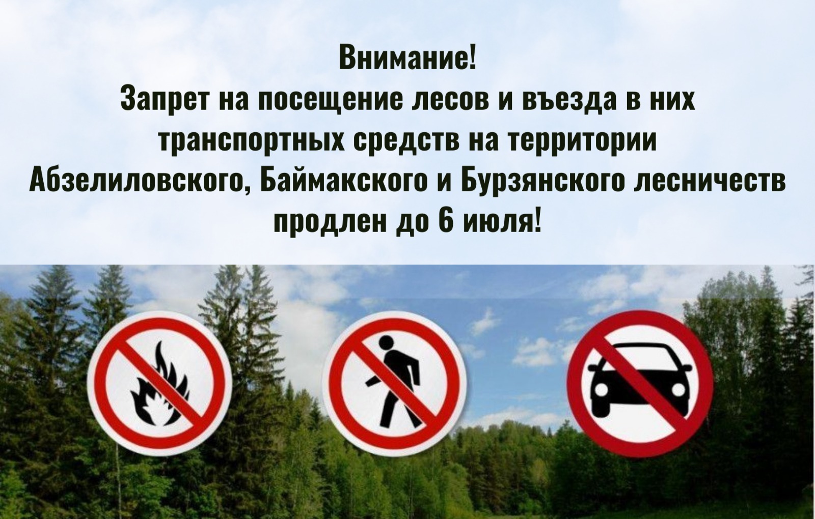 В трех районах Башкирии продлили запрет на выезд в леса