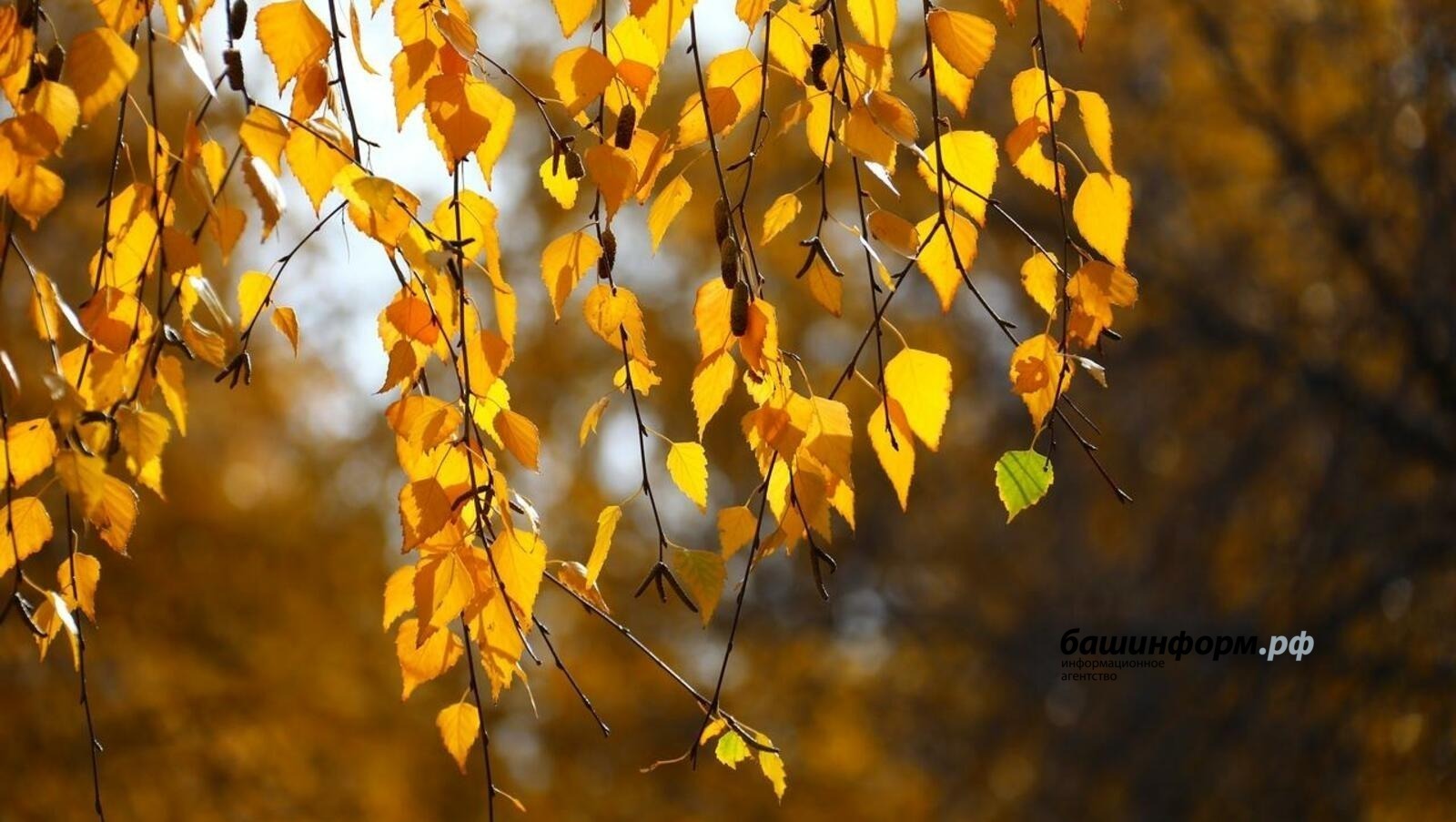 ИА Башинформ