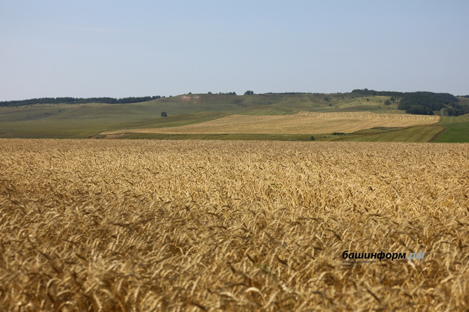 ИА Башинформ