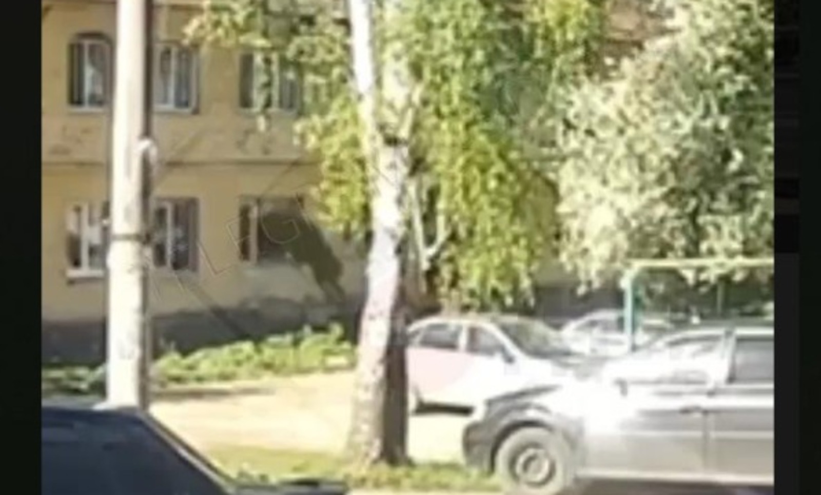 В Башкирии лось врезался в окно жилого дома