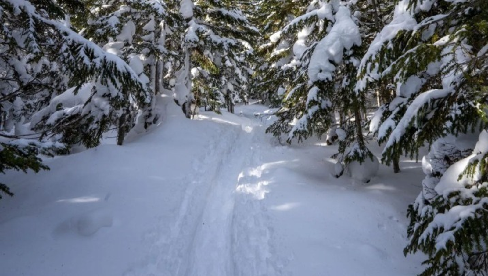 ИА Башинформ