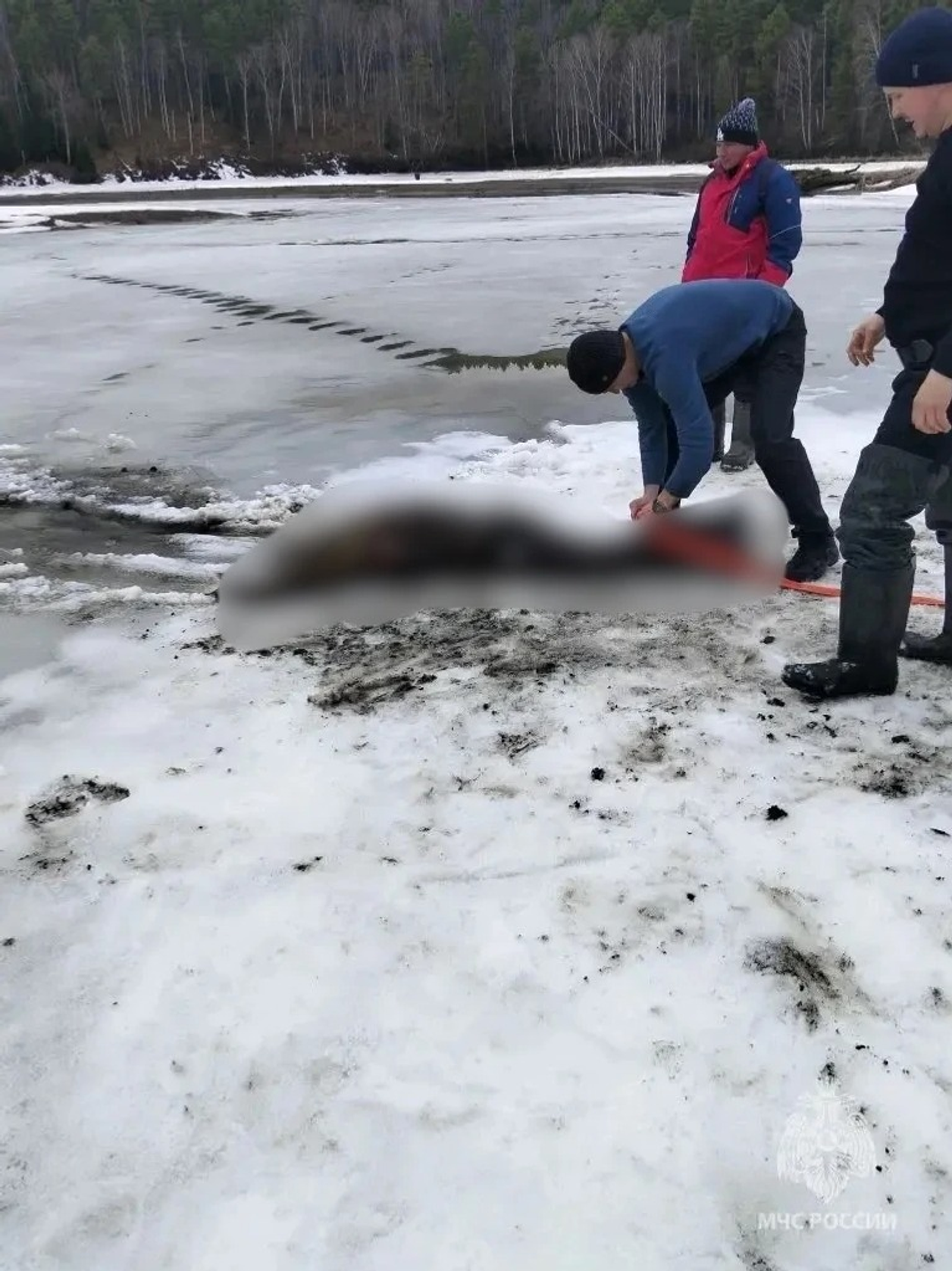 ИА Башинформ