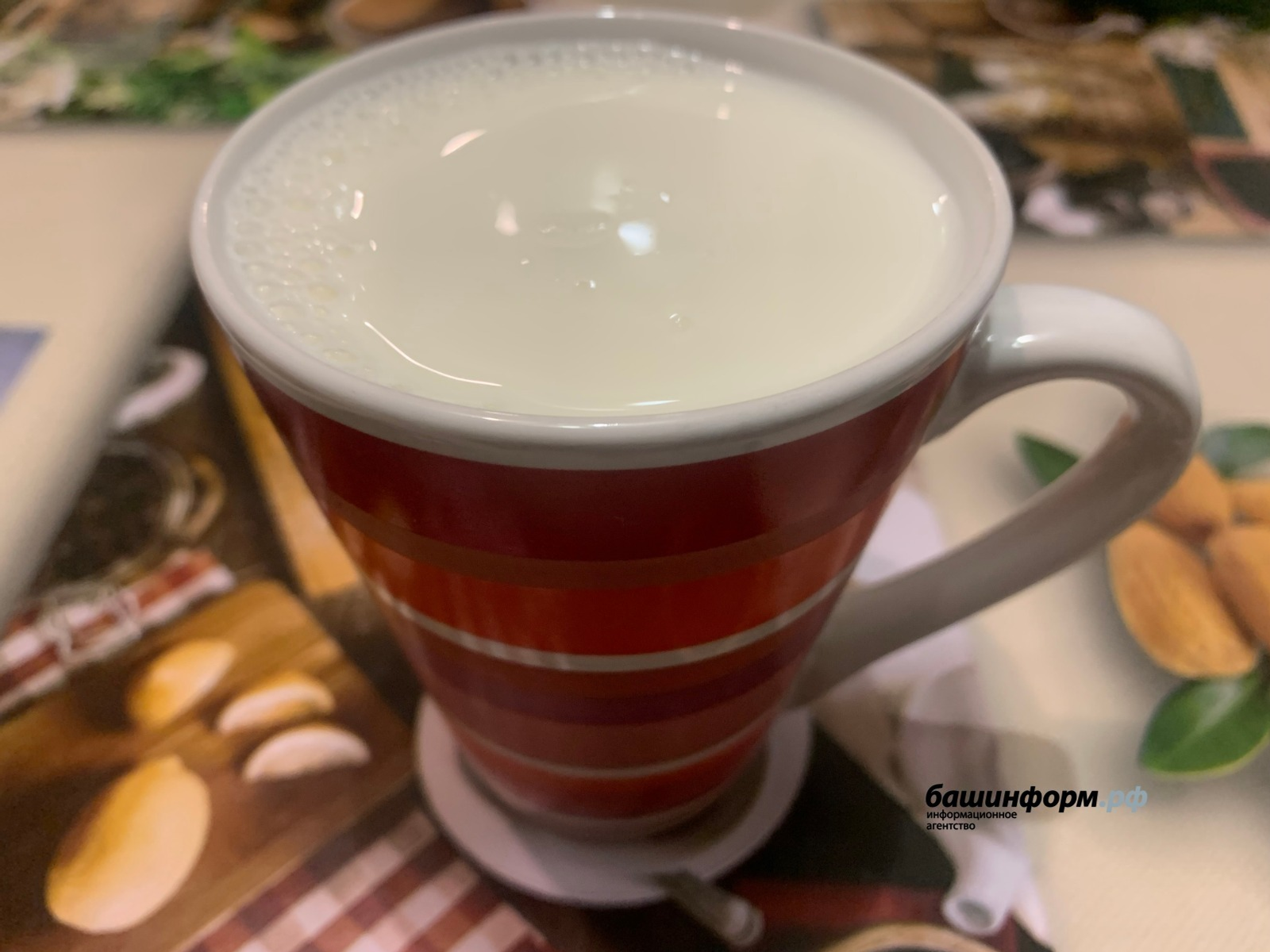 ИА Башинформ