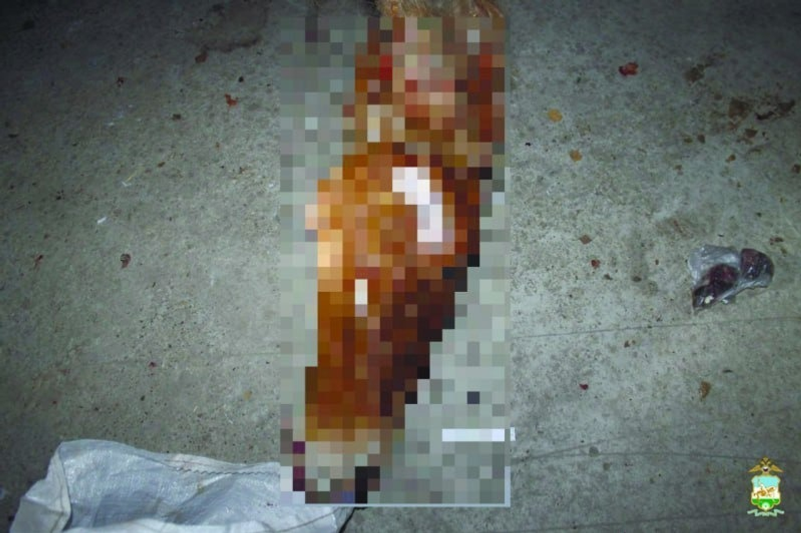 ИА Башинформ