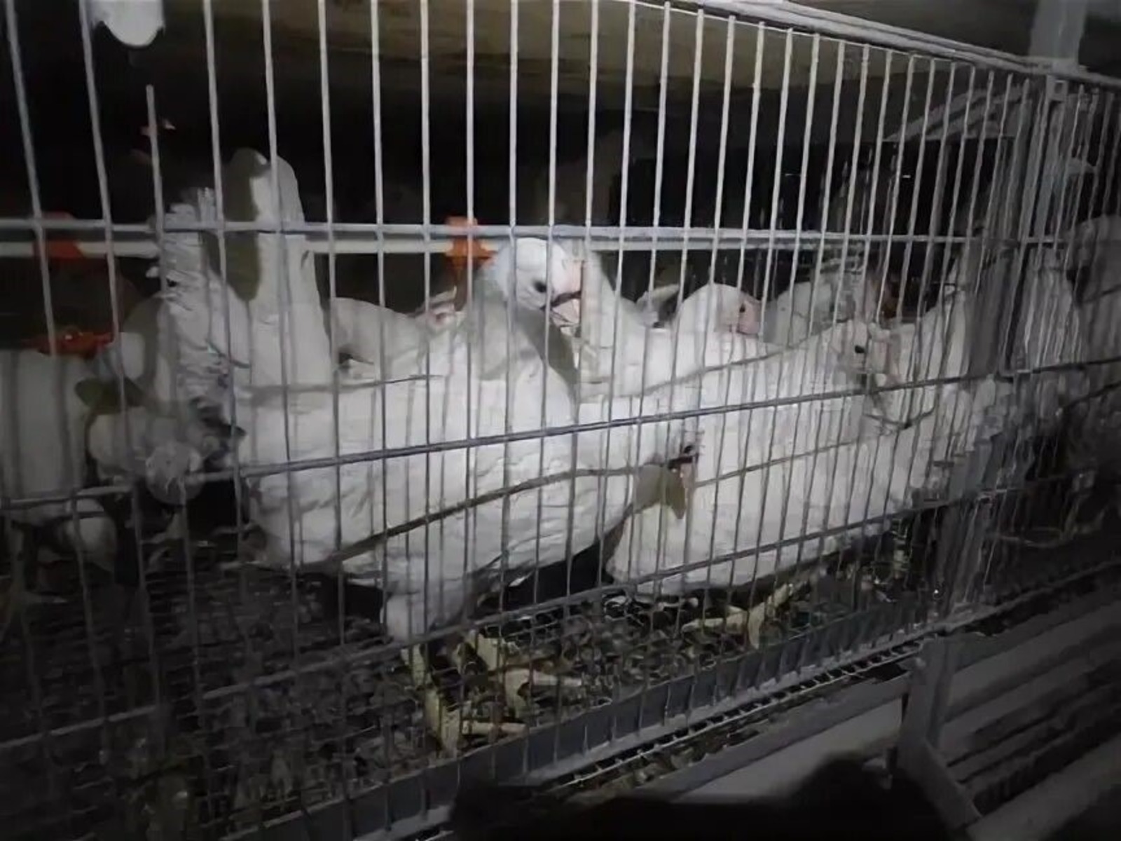 ИА Башинформ