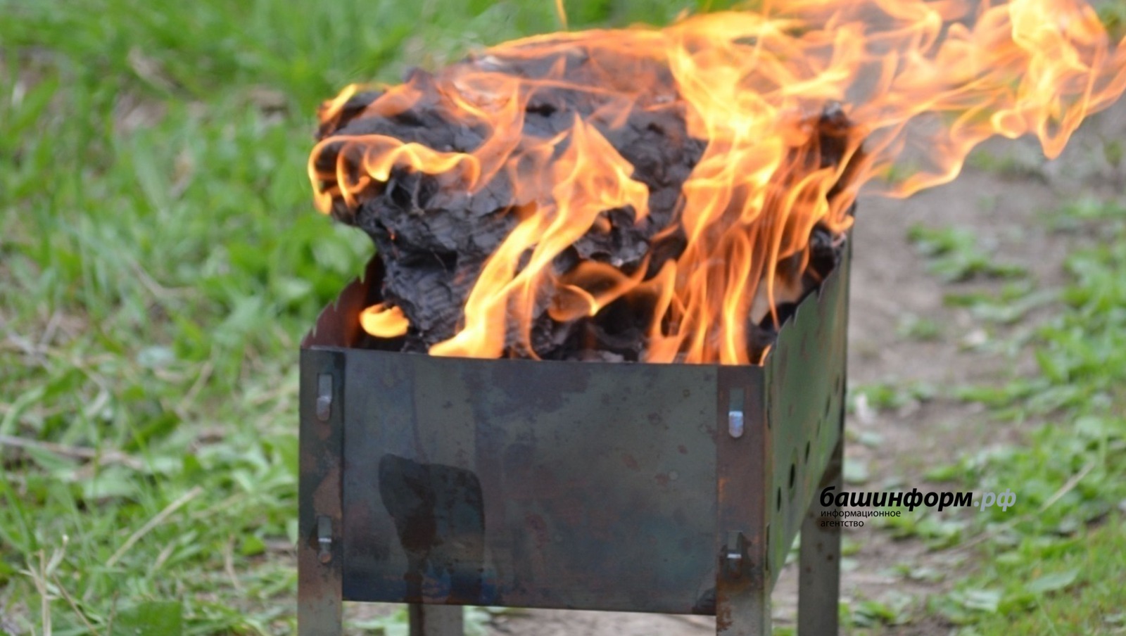 В трех районах Башкирии туристам запретили ходить в лес